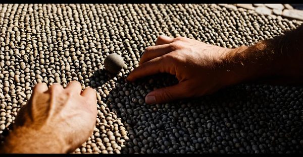 Bilan de compétences à montpellier : révélez vos talents !